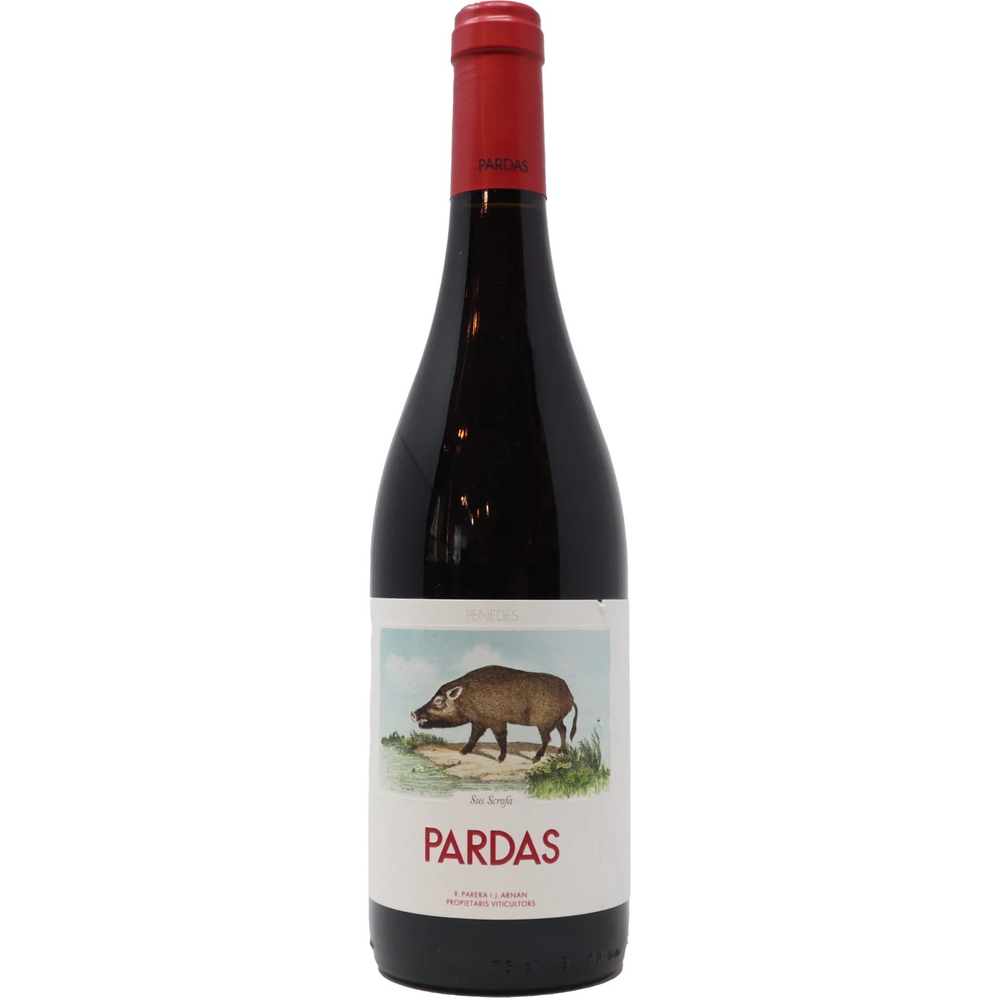 Bottle of Pardas by Sus Scrofa