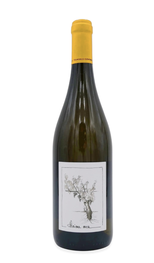 Bottle of Grolleau by Vignobles Günther-Chéreau