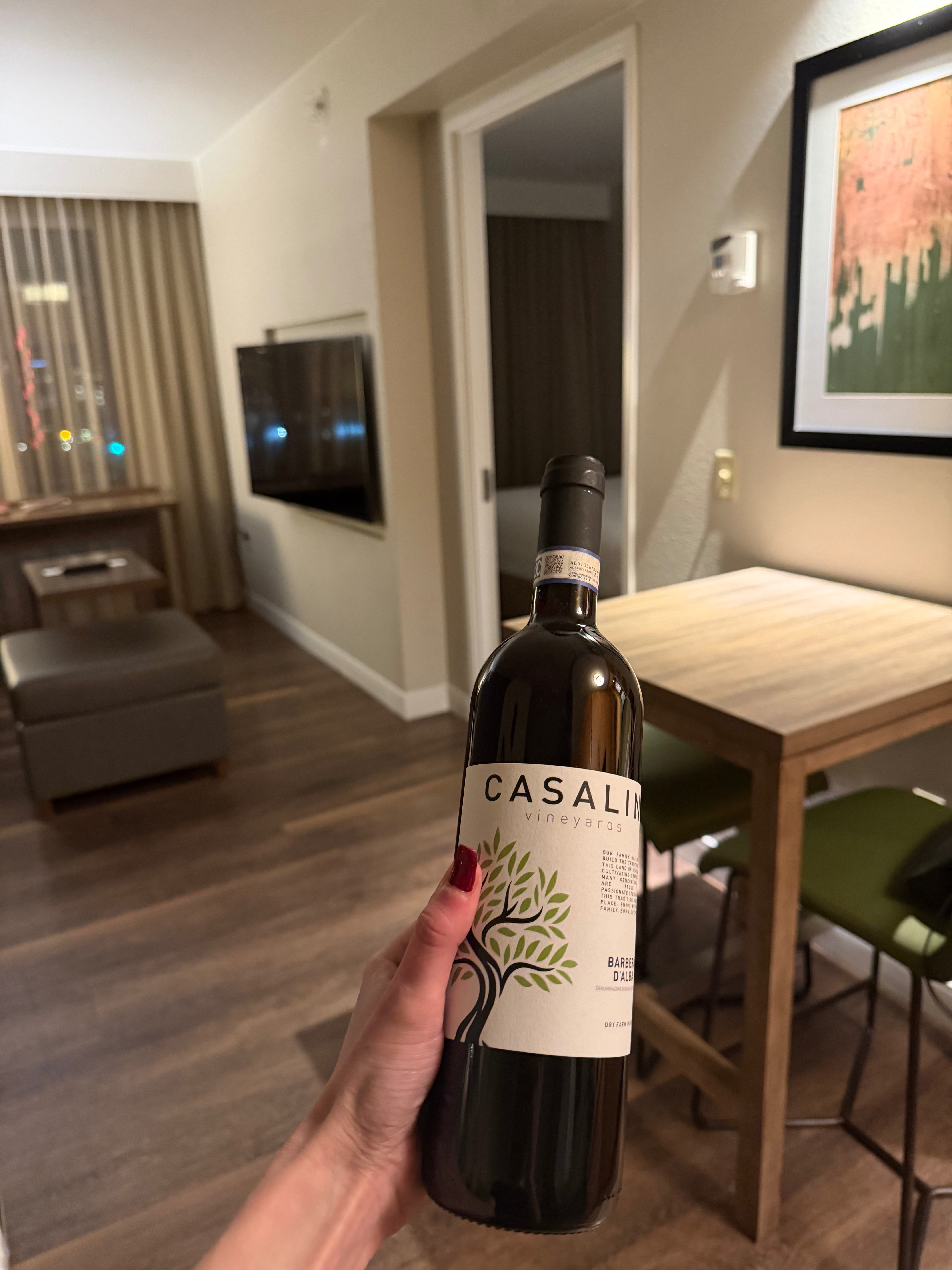 Bottle of Barbera d'Alba by Vigneti Casalin