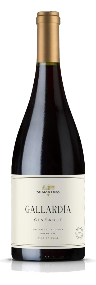 Bottle of Gallardía by De Martino