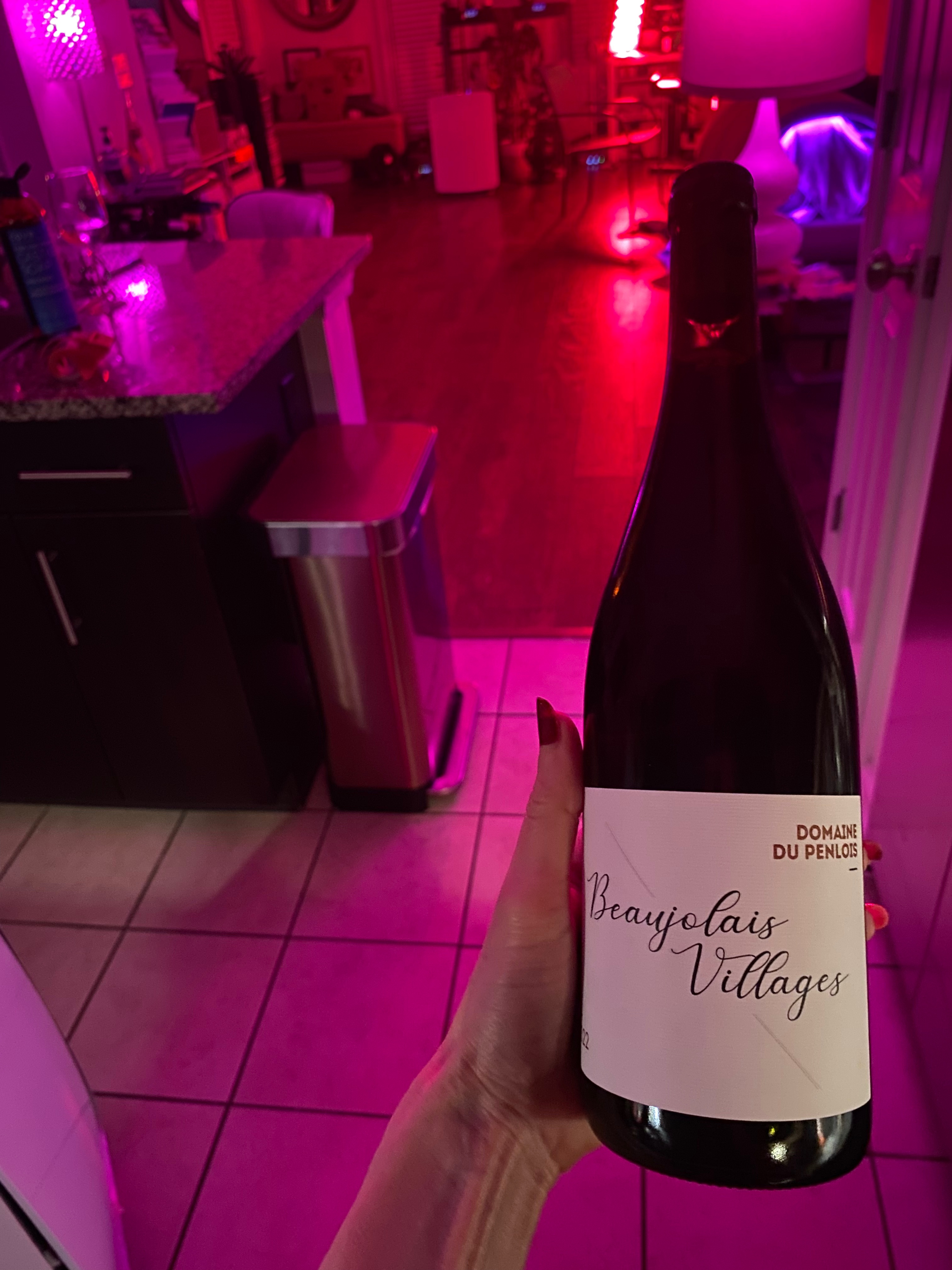 Bottle of Beaujolais Villages Nouveau by Domaine du Penlois